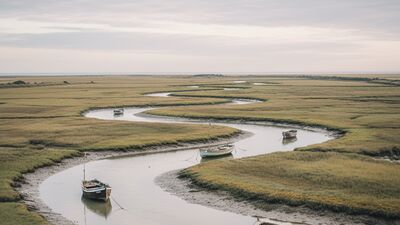 Essex by the Numbers: Country Lanes to the Coast
