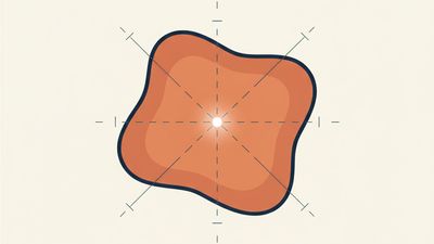 What Is a Centroid and How Do We Use Them?
